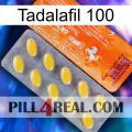 Tadalafil 100 new05